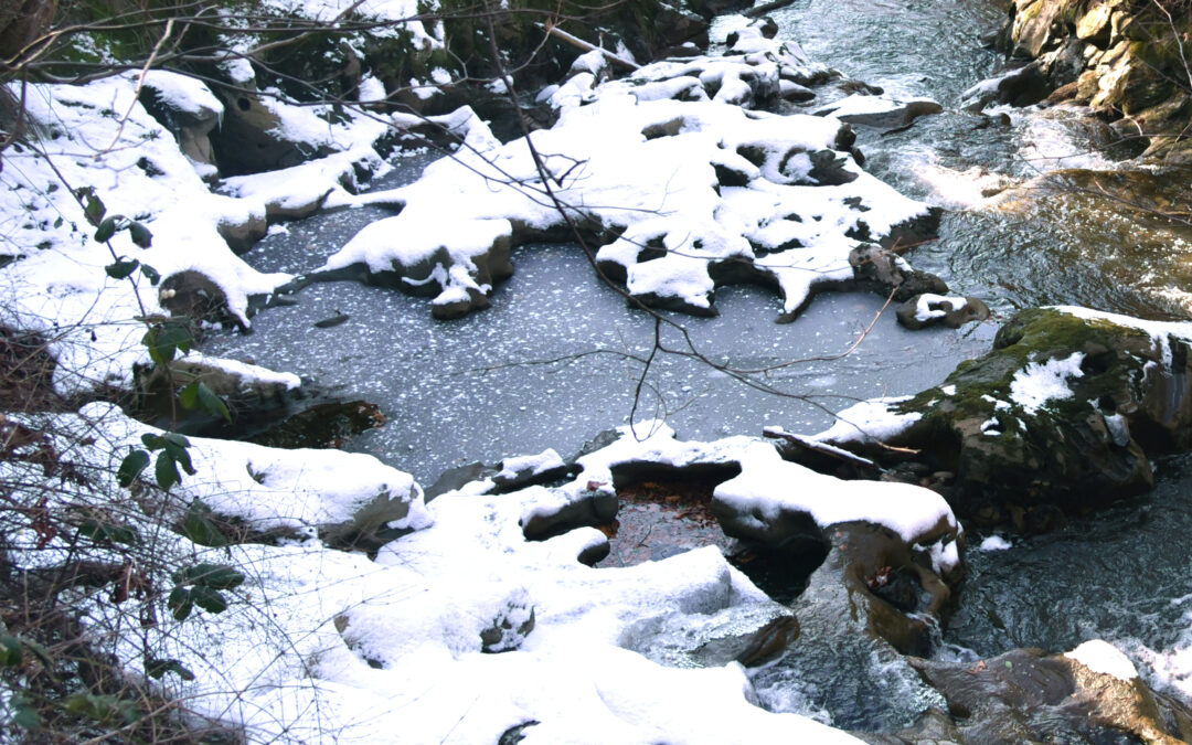 Snowy Creek by Sam Bottman